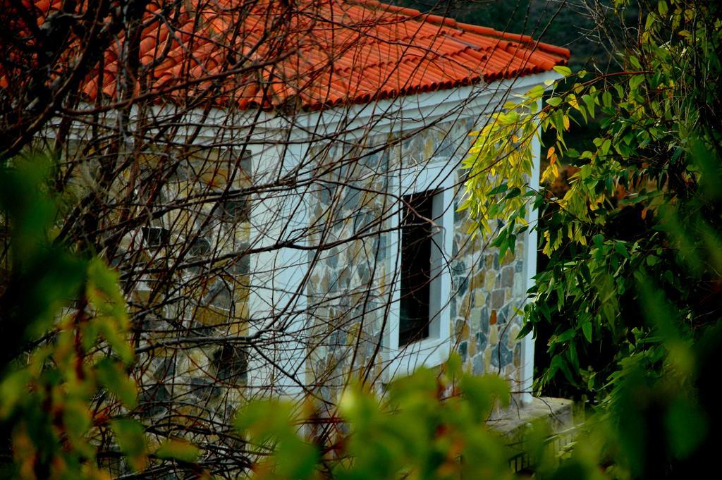 Mavikarga Bozcaada Bed and Breakfast Eksteriør billede
